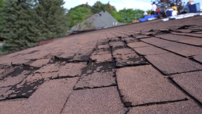 Best Wood Shake Roofing  in Thomson, GA
