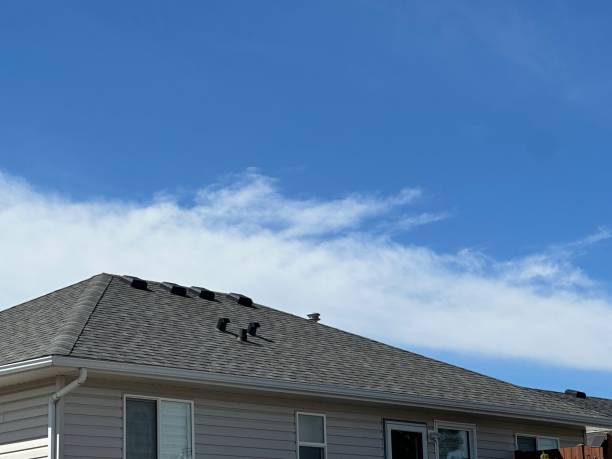 Best Steel Roofing  in Thomson, GA